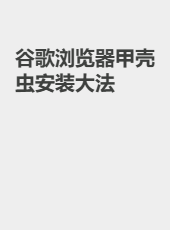 谷歌浏览器甲壳虫安装大法-yzg